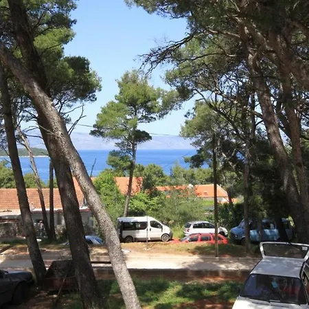 Lägenhet With Wifi Jelsa, Hvar - 8755 *